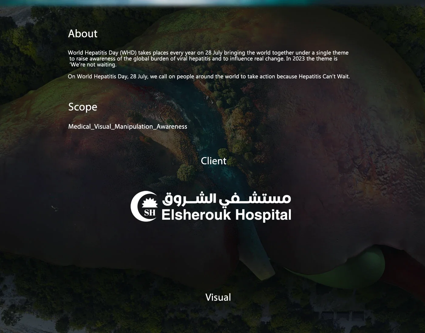 World Hepatitis Day project page for El Sherouk Hospital